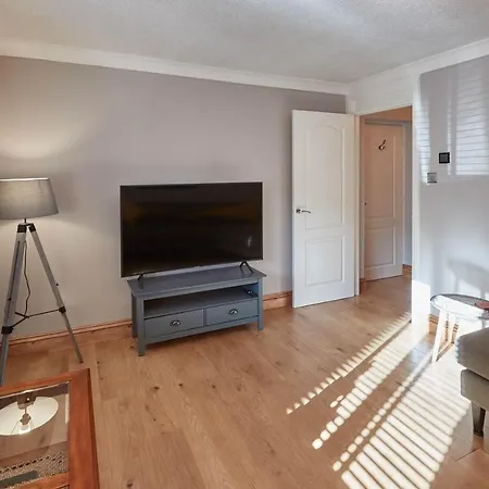 Host & - Amber Shores